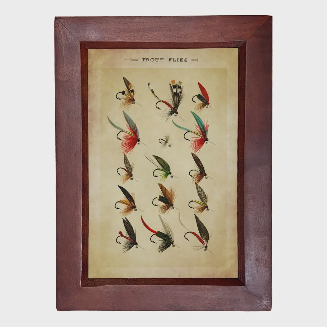 Madison Bay Co. Trout Flies Reproduction Print, Framed Behind Glass