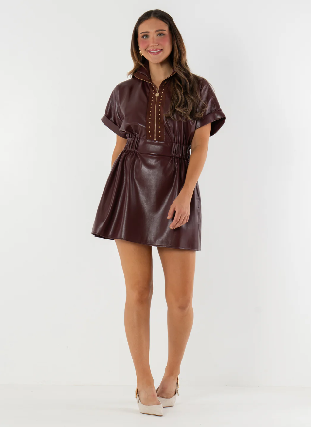 Emily McCarthy Bitter Chocolate Pullover Dress