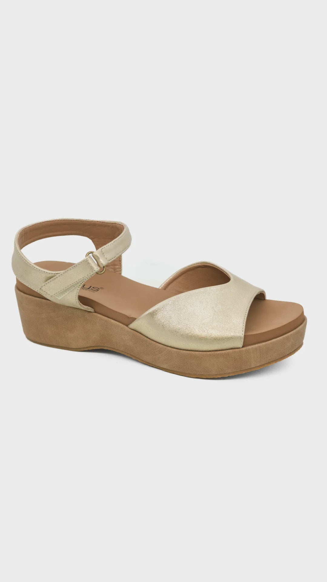 Corky's Meet Ya There - Gold Wash Metallic