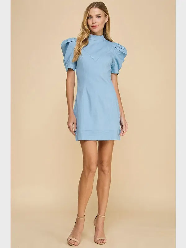 TCEC Fitted Hidden Rear Zipper Denim Dress- Light Denim