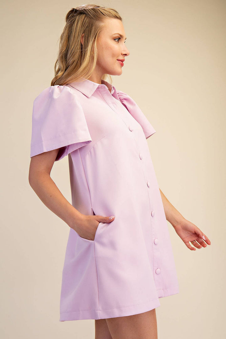 Glam Collar Neck Button Down Mini Dress