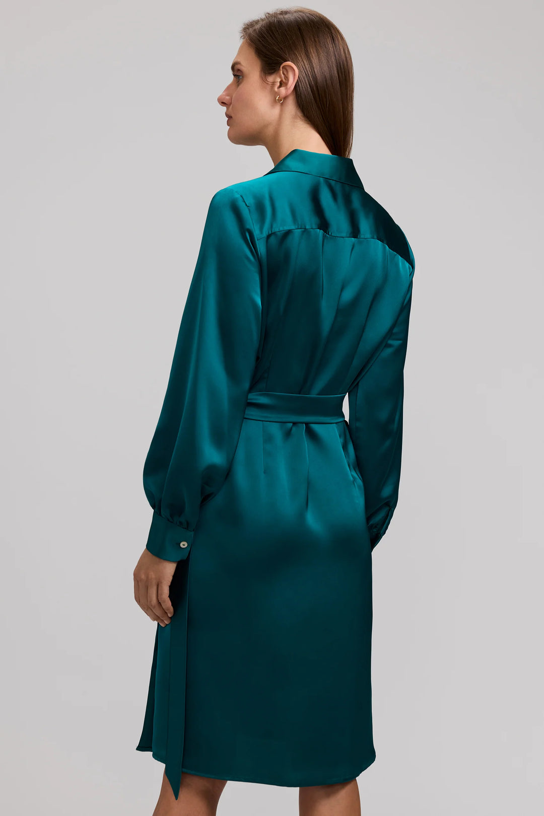 Foxcroft Emerald Valentina Beyond Silk Long Sleeve Dress
