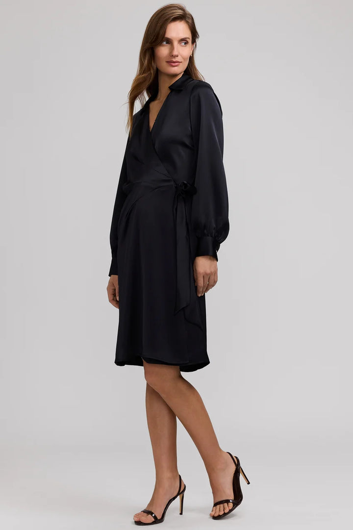 Foxcroft Black Valentina Beyond Silk Long Sleeve Dress