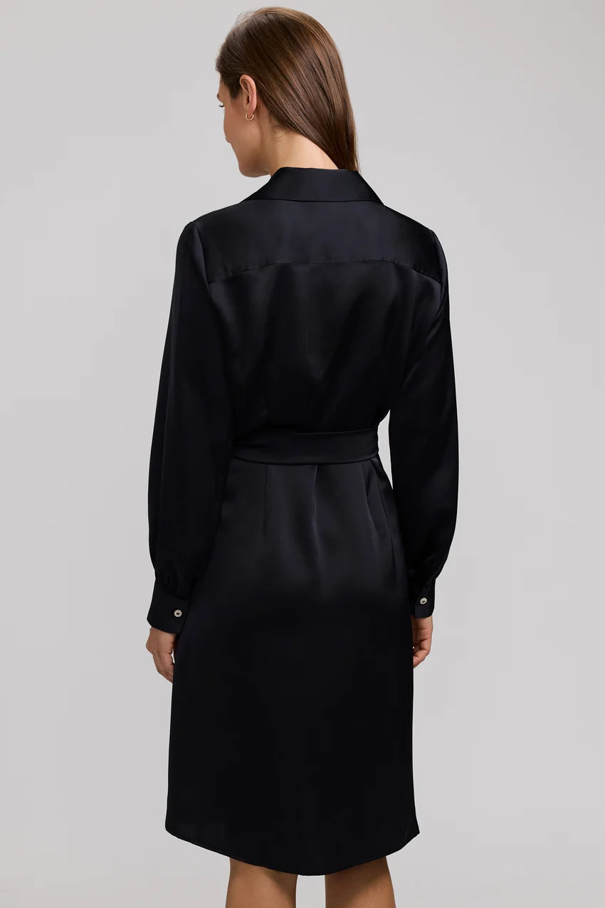 Foxcroft Black Valentina Beyond Silk Long Sleeve Dress
