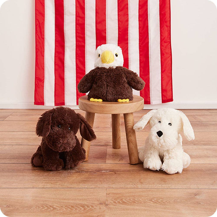 Chocolate Labrador Warmies