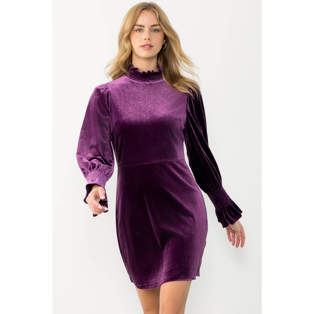 Purple Mock Neck Velvet Dress