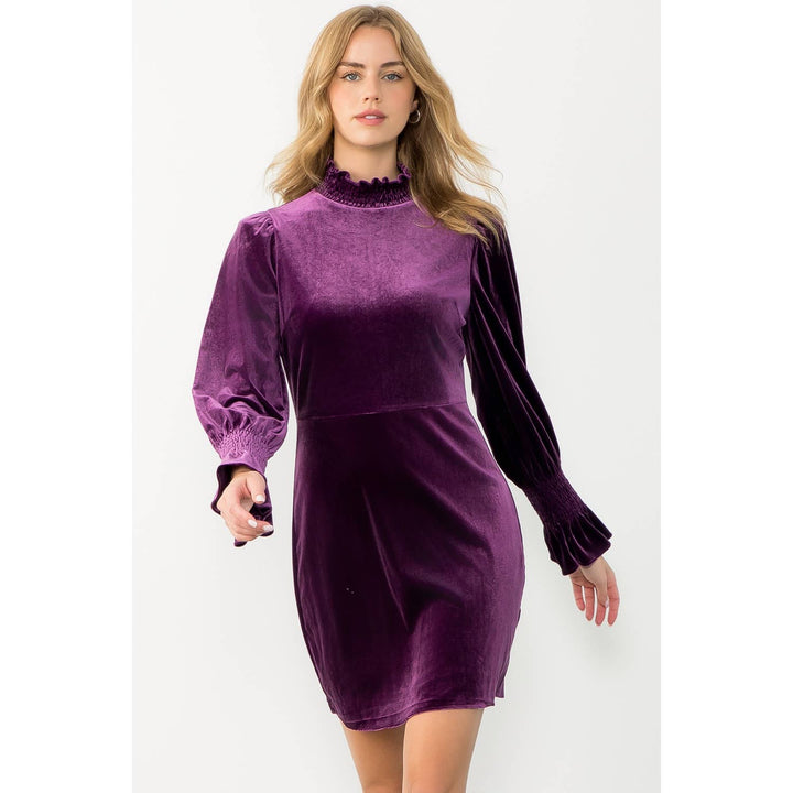 Purple Mock Neck Velvet Dress