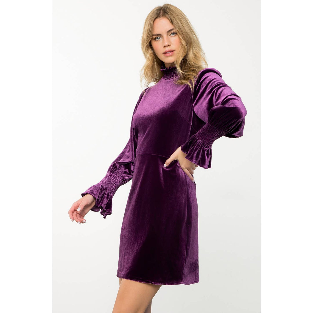 Purple Mock Neck Velvet Dress
