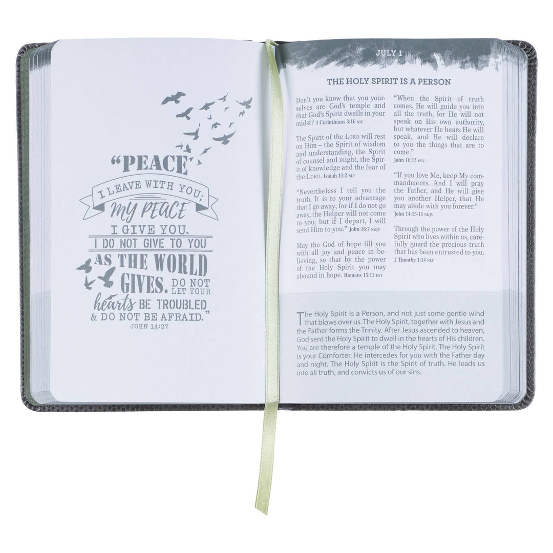 Pocket Bible Devotional for Guys Faux Leather