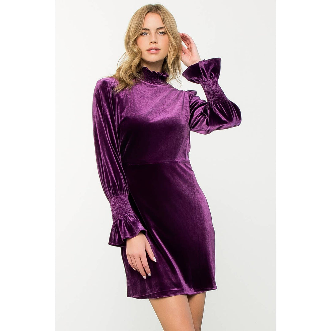 Purple Mock Neck Velvet Dress