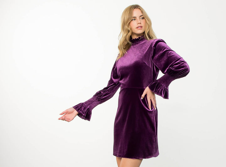 Purple Mock Neck Velvet Dress