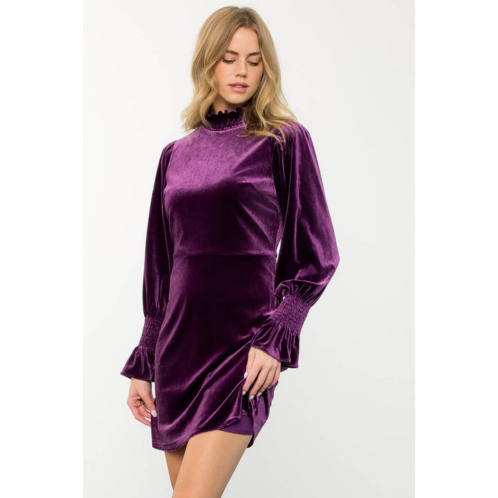 Purple Mock Neck Velvet Dress